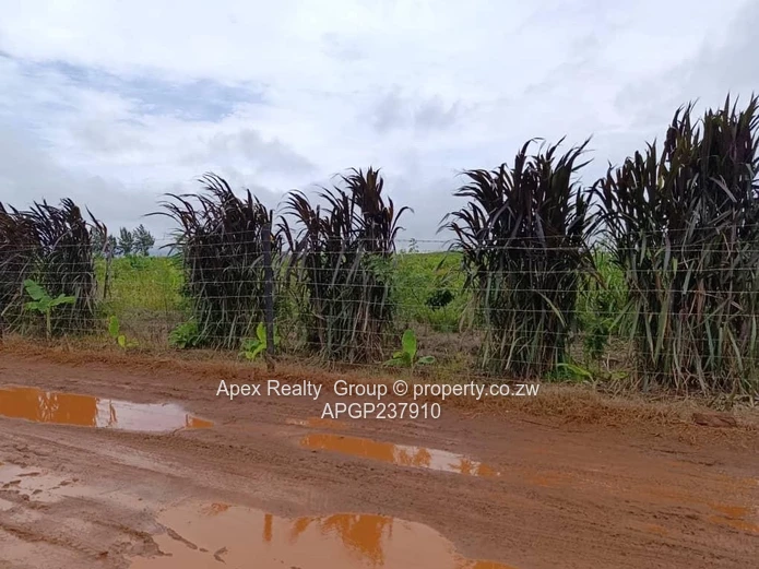 Norton Plot for sale (Sole Mandate)
