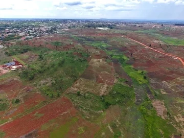 Farm & Agricultural Land