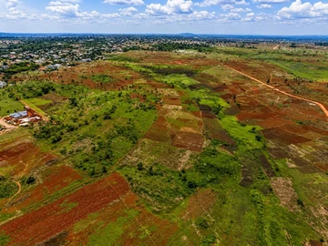Farm & Agricultural Land