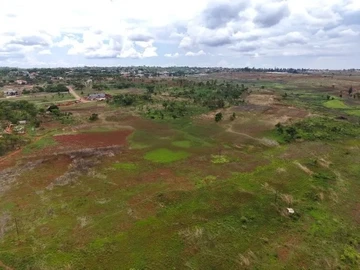 Farm & Agricultural Land