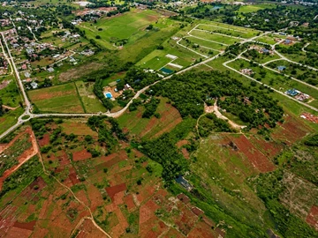 Farm & Agricultural Land