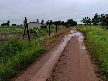 Farm & Agricultural Land