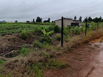 Farm & Agricultural Land