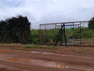 Farm & Agricultural Land