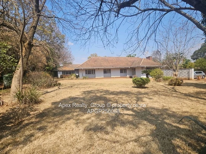 Belgravia Main Road Property For Sale