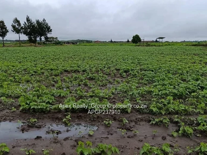 Norton Plot for sale (Sole Mandate)